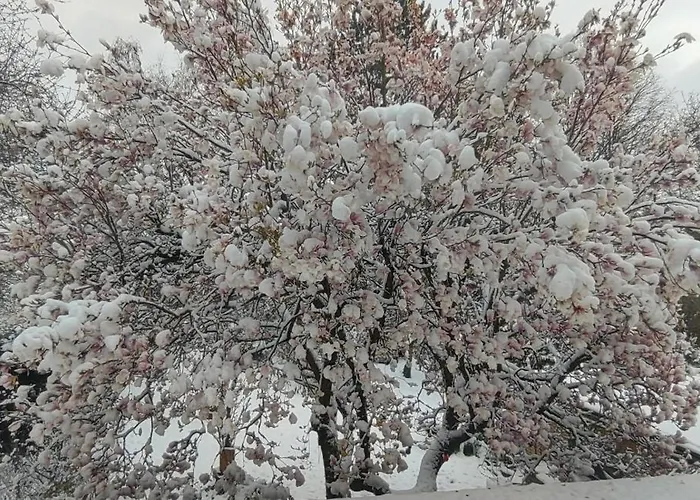 Privat-pension Doemens *